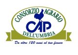 Consorsio Agrario Dell'umbria Logo